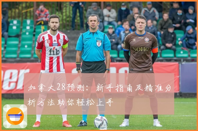 加拿大28预测：新手指南及精准分析方法助你轻松上手