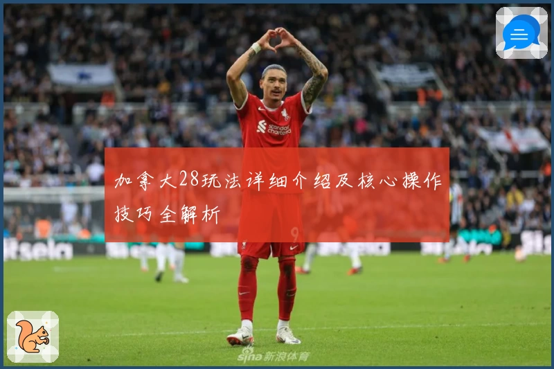 加拿大28玩法详细介绍及核心操作技巧全解析