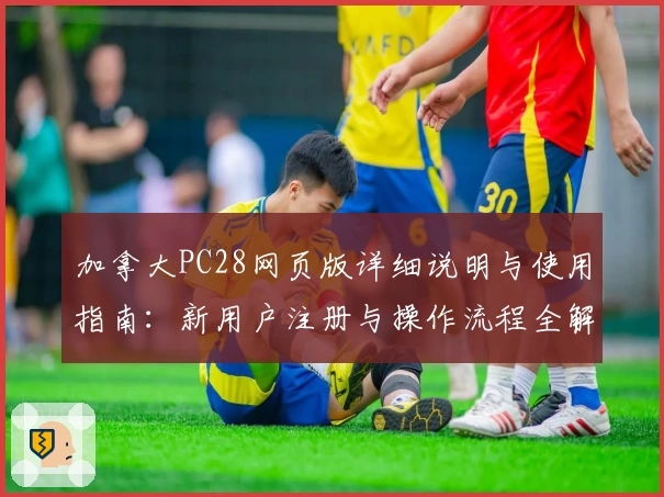 加拿大PC28网页版详细说明与使用指南：新用户注册与操作流程全解析