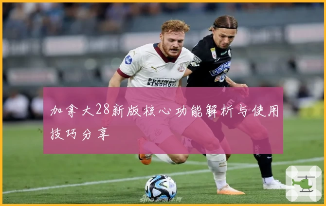 加拿大28新版核心功能解析与使用技巧分享