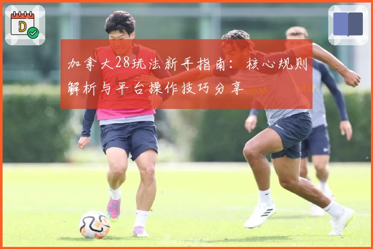 加拿大28玩法新手指南：核心规则解析与平台操作技巧分享