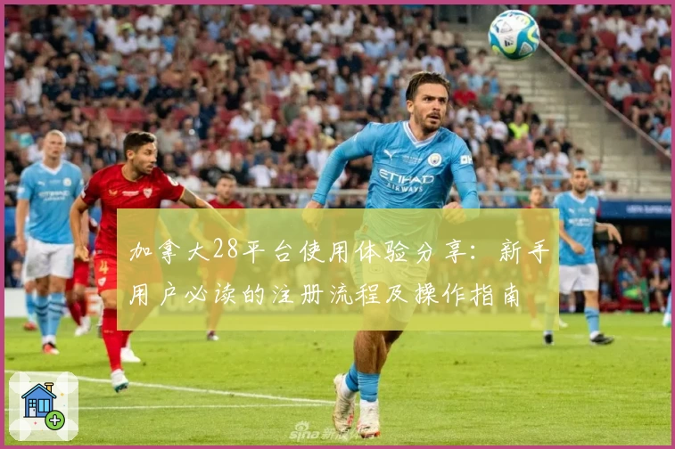 加拿大28平台使用体验分享：新手用户必读的注册流程及操作指南