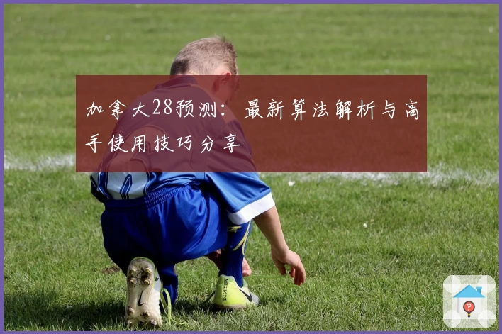 加拿大28预测：最新算法解析与高手使用技巧分享