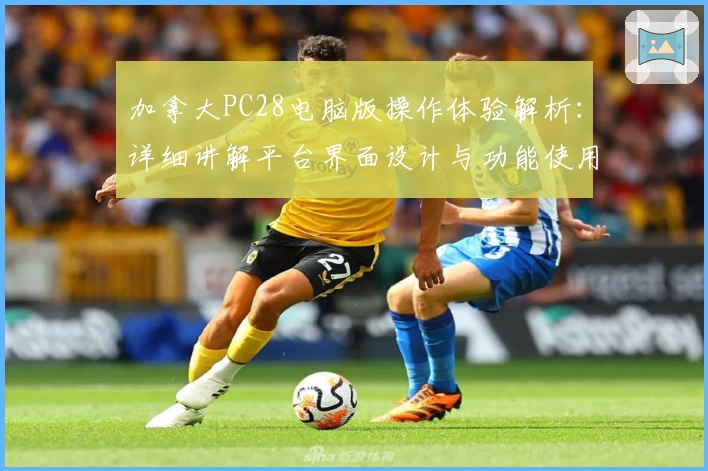 加拿大PC28电脑版操作体验解析：详细讲解平台界面设计与功能使用技巧